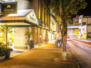 宫崎梅里吉斯酒店的城市的街道,晚上有树