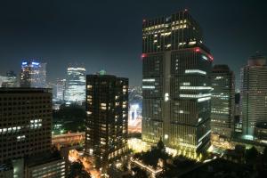 东京都市中心酒店的城市天际线,夜晚有高楼