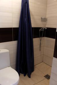 韦巴Apartamenty Wilk的浴室设有蓝色的淋浴帘和卫生间