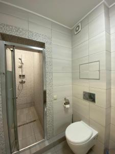 基辅欧宝龙酒店的一间带卫生间和淋浴的浴室。