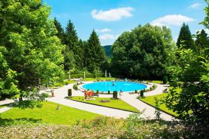 埃希特纳赫Hotel Bel Air Sport & Wellness的享有花园的顶部景致,设有游泳池
