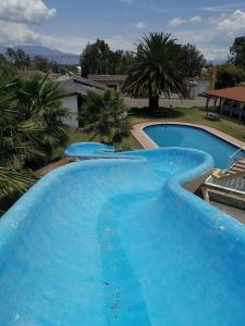 塔巴贝拉圣卡洛斯塔巴波拉酒店的一座种植了棕榈树的大型蓝色游泳池