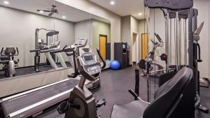 奥克福里斯特Chicago Southland Hotel的健身房设有两台跑步机和镜子