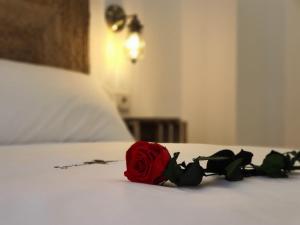 格拉纳达Granaxperience Apartamentos La Maleta的床上坐着红玫瑰