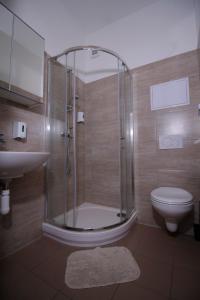 布拉迪斯拉发布拉迪斯拉发加尼飞行员酒店的带淋浴、卫生间和盥洗盆的浴室