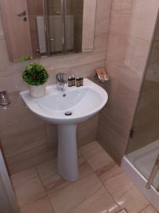 普雷代亚尔Park Luxury Rooms的浴室配有白色水槽和淋浴。