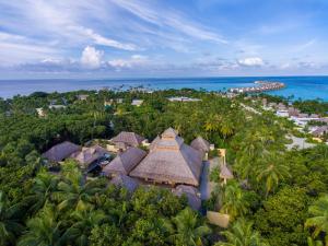 鲁阿环礁Emerald Maldives Resort & Spa-Deluxe All Inclusive的享有树木和海洋的度假胜地的空中景致