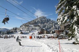 勒利然LE SAPORTA- Studios et Appartements meublés de tourisme的一群人乘雪地滑雪升降机