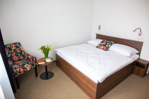 梅尔尼克奥林匹尼克酒店的一间小卧室,配有一张床和一把椅子