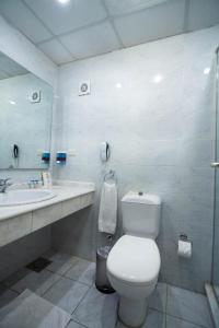 亚历山大San Giovanni Stanly Hotel的一间带卫生间和水槽的浴室