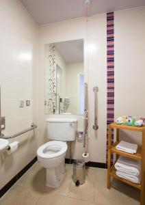 布兰察斯镇都柏林皇冠假日酒店布兰查的浴室配有白色卫生间和淋浴。