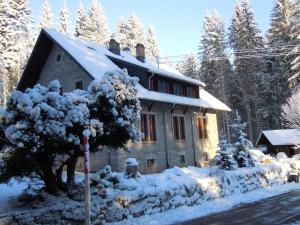 施卢赫湖Herrenhaus Schluchsee的雪覆盖着树的房子