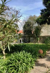 辛特拉Sintra Nomad Lodge的种有植物的花园,后方的房子