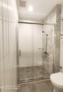 安平区台南玛琪雅朵民宿 的设有带卫生间的浴室内的淋浴间