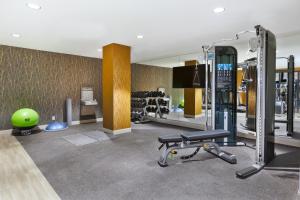 罗切斯特Hotel Indigo Rochester - Mayo Clinic Area的健身房设有绿色球的健身房
