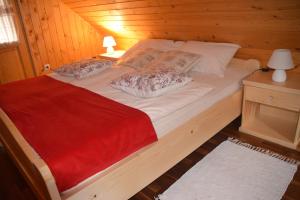 索尔察瓦Shepherds House "Alpine Dreams"的小木屋内一间卧室,配有一张床