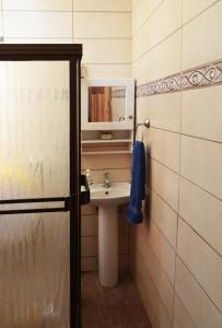 阿拉胡埃拉Guesthouse Casa Lapa的一间带水槽和镜子的浴室