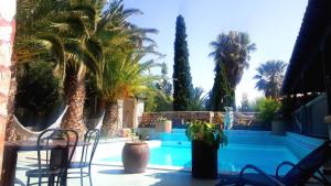 Arico ViejoSagittarius Home的一个带棕榈树和桌椅的游泳池