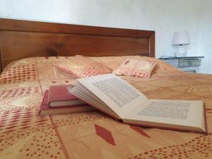 MadréChambre d'hôtes de la Bigottière的一张睡床上的开放式书