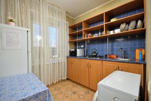 鄂木斯克Omsk Sutki Apartments at Pushkina 99 floor 4的一个带水槽和洗衣机的小厨房