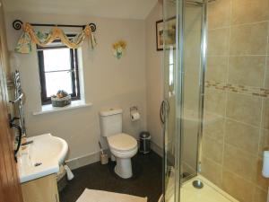 Llanafan-fawrCwm Derw Cottage的带淋浴、卫生间和盥洗盆的浴室