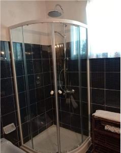 费斯卡尔德宏Fey's House waterfront - Φισκάρδο的浴室里设有玻璃门淋浴