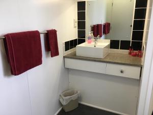  Waipukurau桑顿汽车旅馆的一间带水槽和镜子的浴室