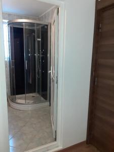 奥托佩尼Old Pensiunea Otopeni的浴室设有玻璃淋浴间和镜子