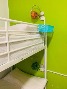 格拉纳达哦！我的旅舍的客房设有两张双层床和绿色的墙壁。