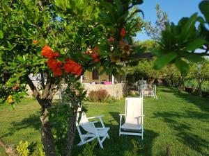 博兹贾阿达岛Nar Bağevi的两把白色椅子坐在树下的草地上