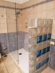 巴尔韦尔德阿尔曼德雷罗斯小屋酒店的浴室里设有玻璃门淋浴