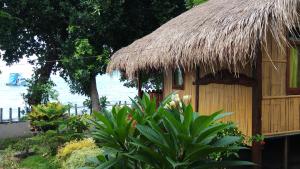 HitokalakLena house Flores的茅草屋顶和一些植物的小屋