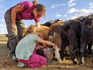 乌兰巴托Vast Mongolia Tour Hostel & tours的一个女人和一个小女孩正在喂山羊