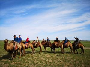 乌兰巴托Vast Mongolia Tour & Hostel的一群在田野里骑马的人