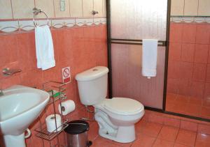 San JoaquínCasa Tropical的一间带卫生间和水槽的浴室