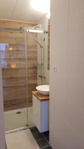 羊角村Farmhouse Lodge Giethoorn的一间带玻璃淋浴和水槽的浴室