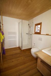 NiederwaldStadel Ritz的带淋浴、卫生间和盥洗盆的浴室