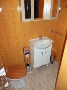 PotokCottage Plavi Lav Potok的一间带卫生间和水槽的浴室