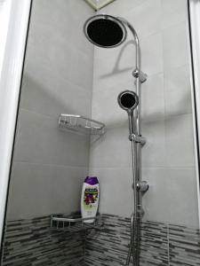 巴尼亚科维利亚查Apartman Vesna的带淋浴的浴室(带玻璃淋浴间)