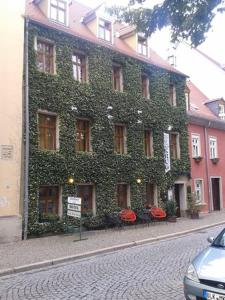 萨勒河畔瑙姆堡Zum Alten Krug的街道边的常春藤覆盖的建筑物