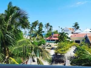 班塔延岛Solsken Guest House的享有棕榈树海滩和大楼的景色