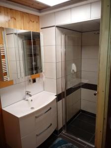 韦尔特湖畔克伦彭多夫皮梭旅馆的一间带水槽和淋浴的浴室