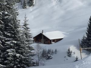 哈斯利伯格费里恩乌农天堂酒店的树旁的雪间小屋