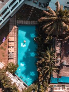 巴加The Park Baga River Goa - Adults only Property的享有棕榈树游泳池的顶部景致