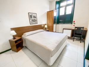 萨尔瓦多智利殖民地酒店的一间卧室配有一张床、一张书桌和一个窗户。