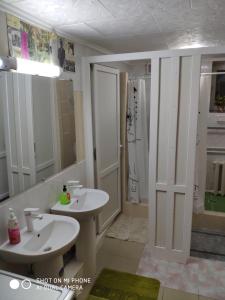 蒂拉斯波尔Like Home Hostel的一间带两个盥洗盆和淋浴的浴室