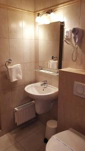布达佩斯黛安娜俱乐部酒店的一间带水槽、卫生间和镜子的浴室