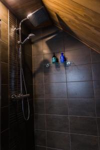 伊纳利伊纳里渡假村酒店的浴室设有淋浴,架子上装有两瓶蓝色的瓶子