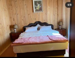 扎布利亚克Apartment Aleksić的一间卧室配有一张带2个床头柜的大床