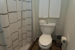 韦拉克鲁斯里提奥酒店的浴室设有卫生间和带毛巾的淋浴。